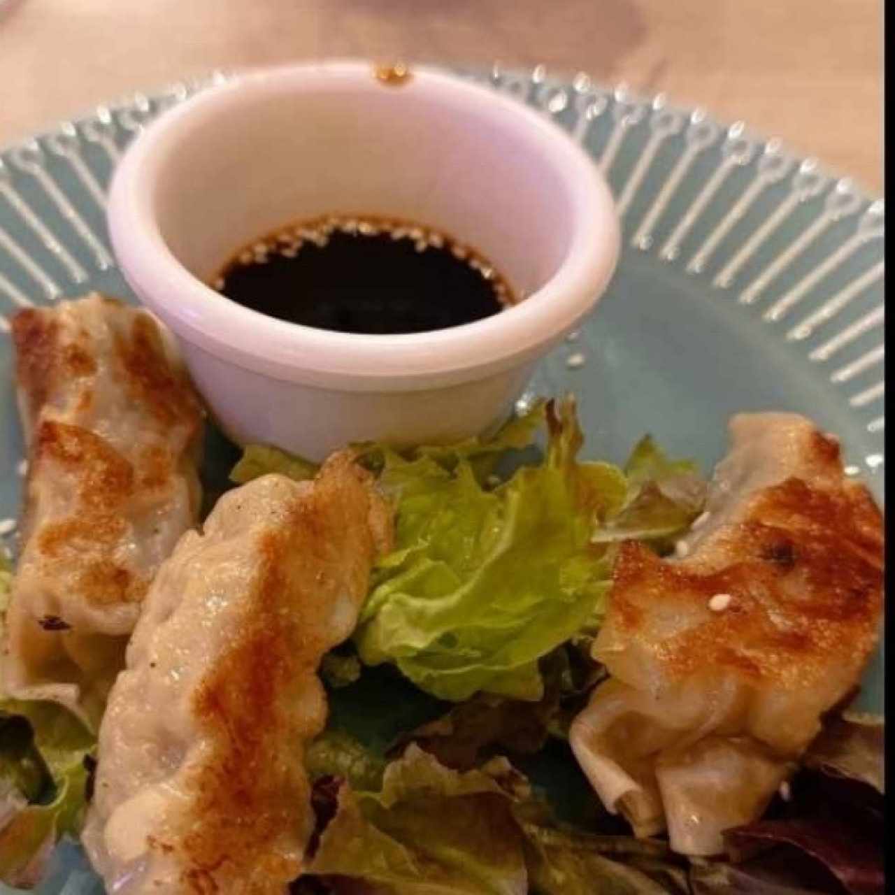 Dumplings de cerdo 