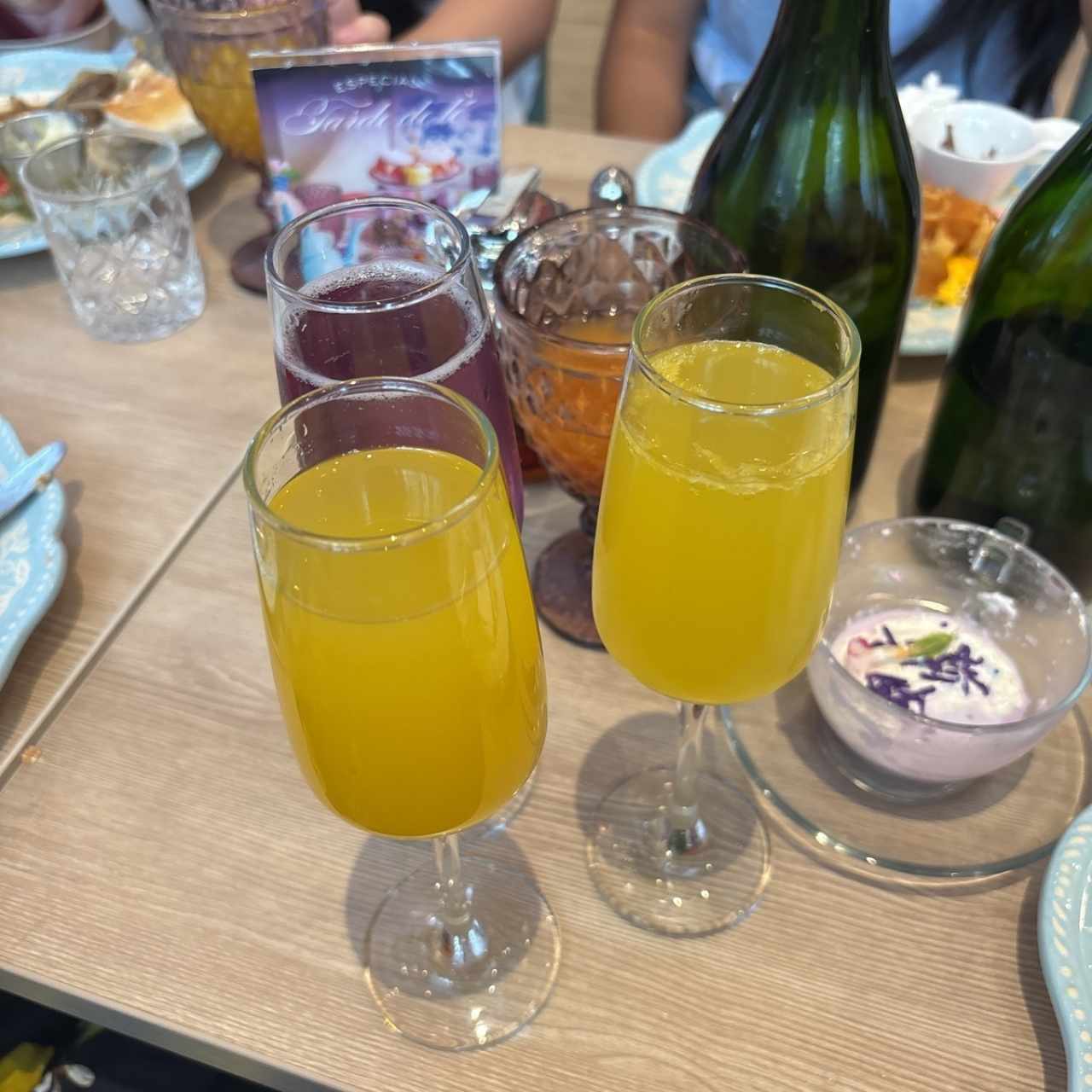 Mimosa 