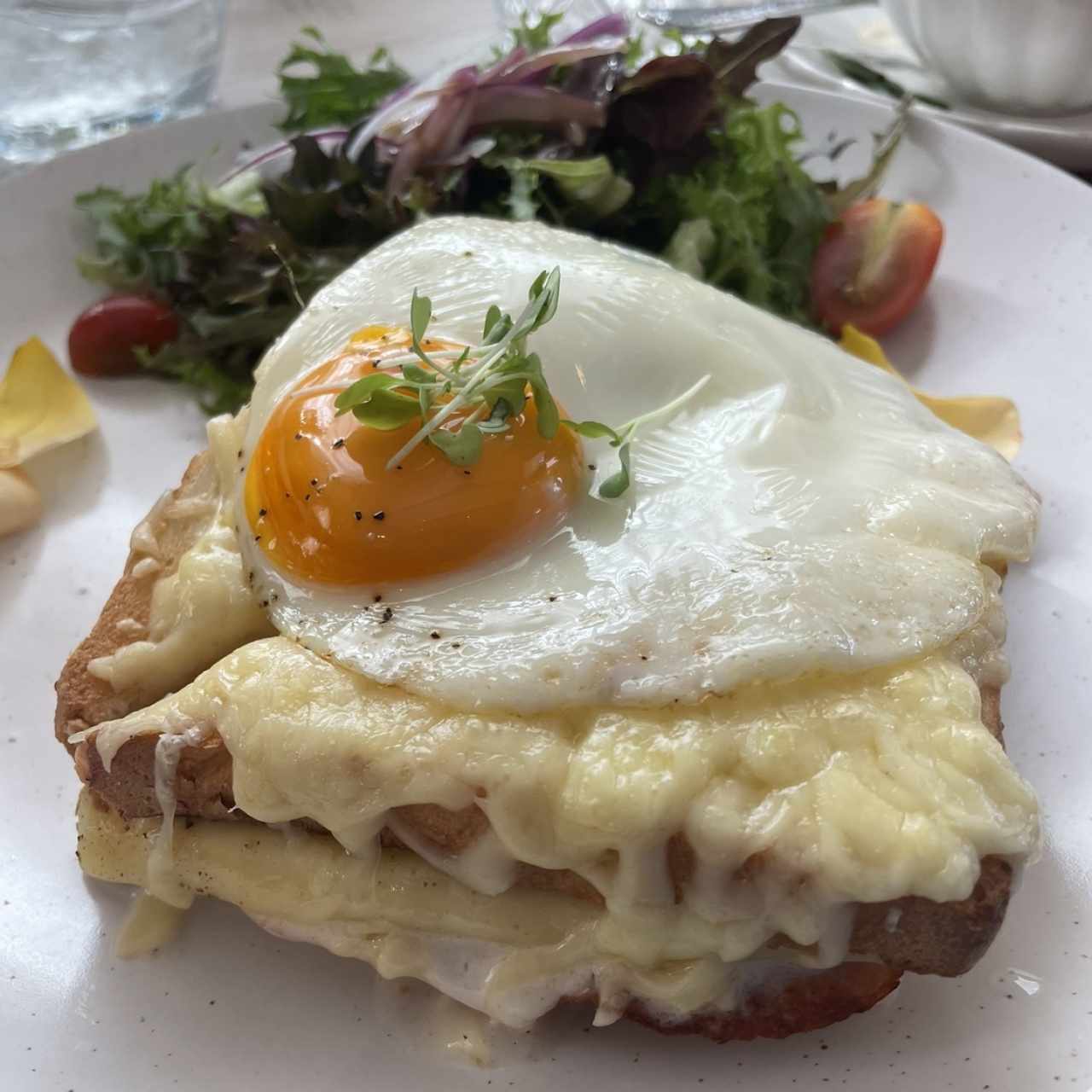 Croque Madame