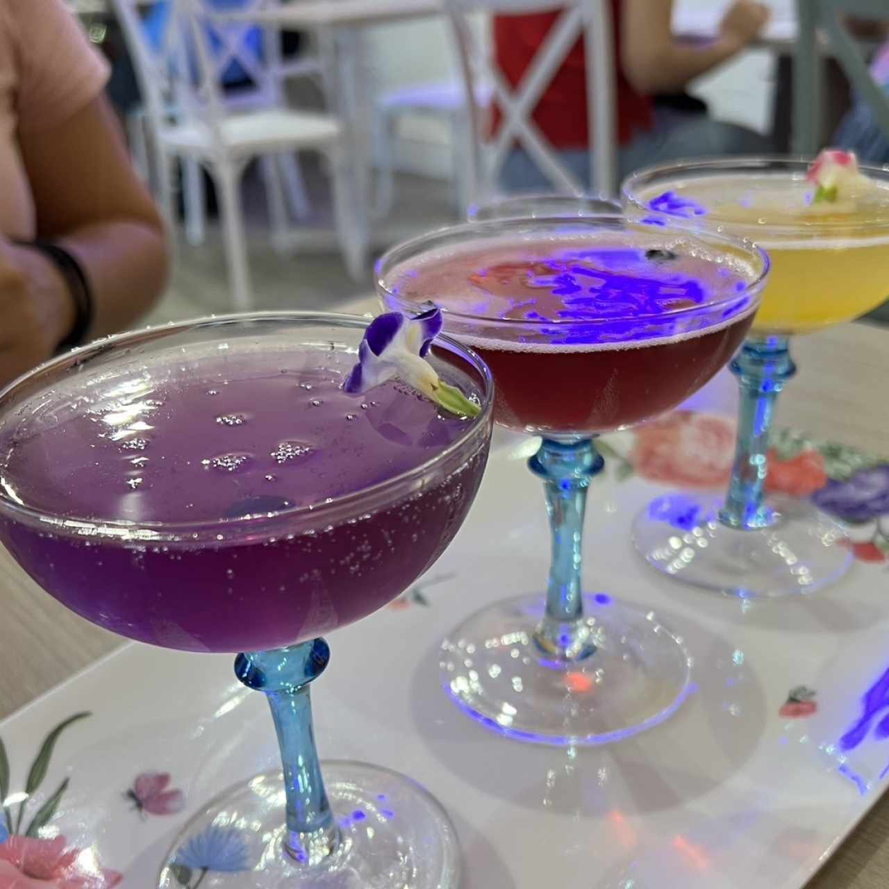 Mimosa Flight