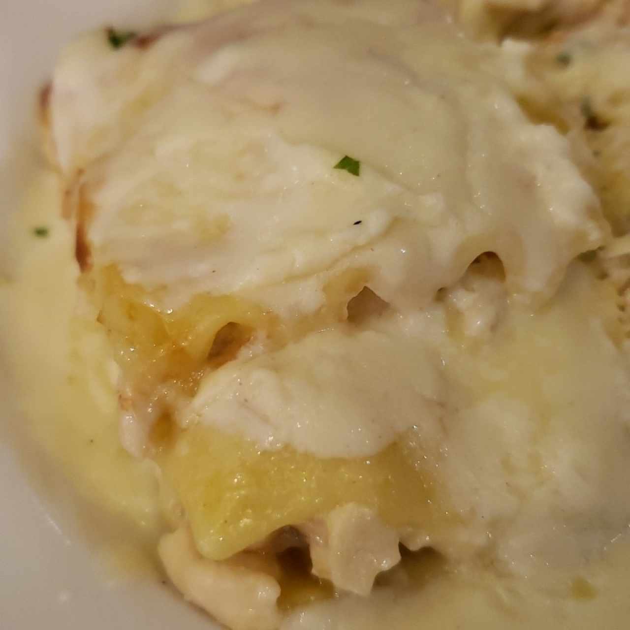Lasaña de Pollo en Salsa Roja o Blanca