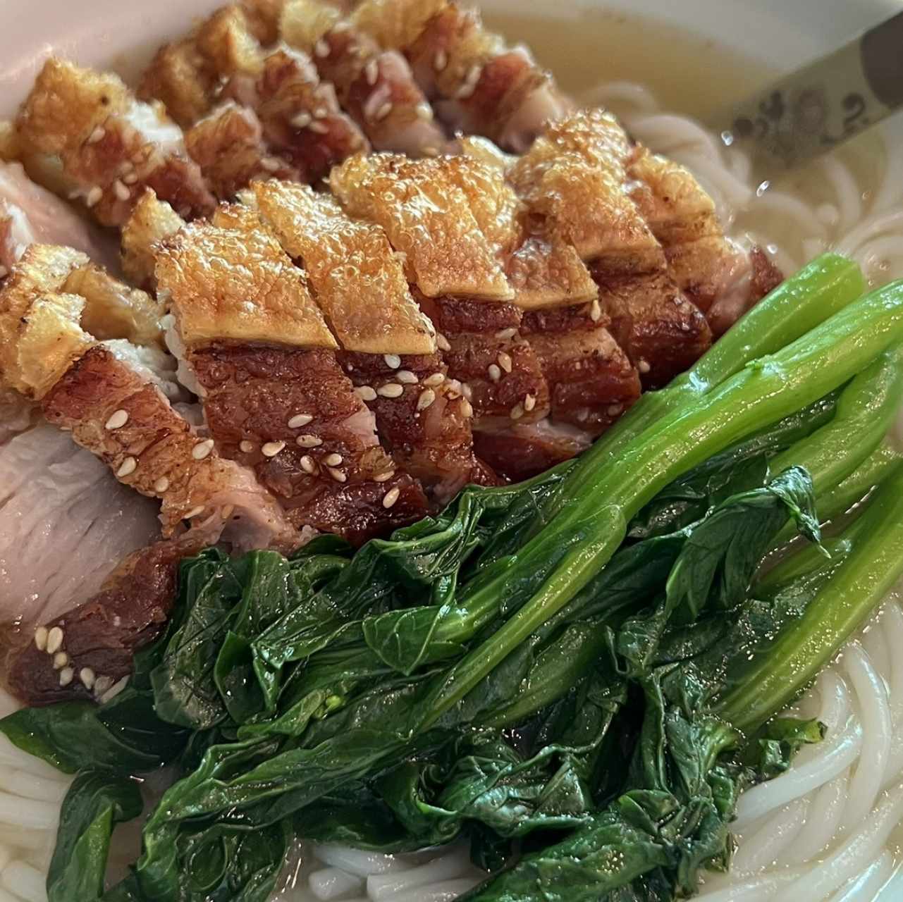 Sopa de fideo con lechon especial