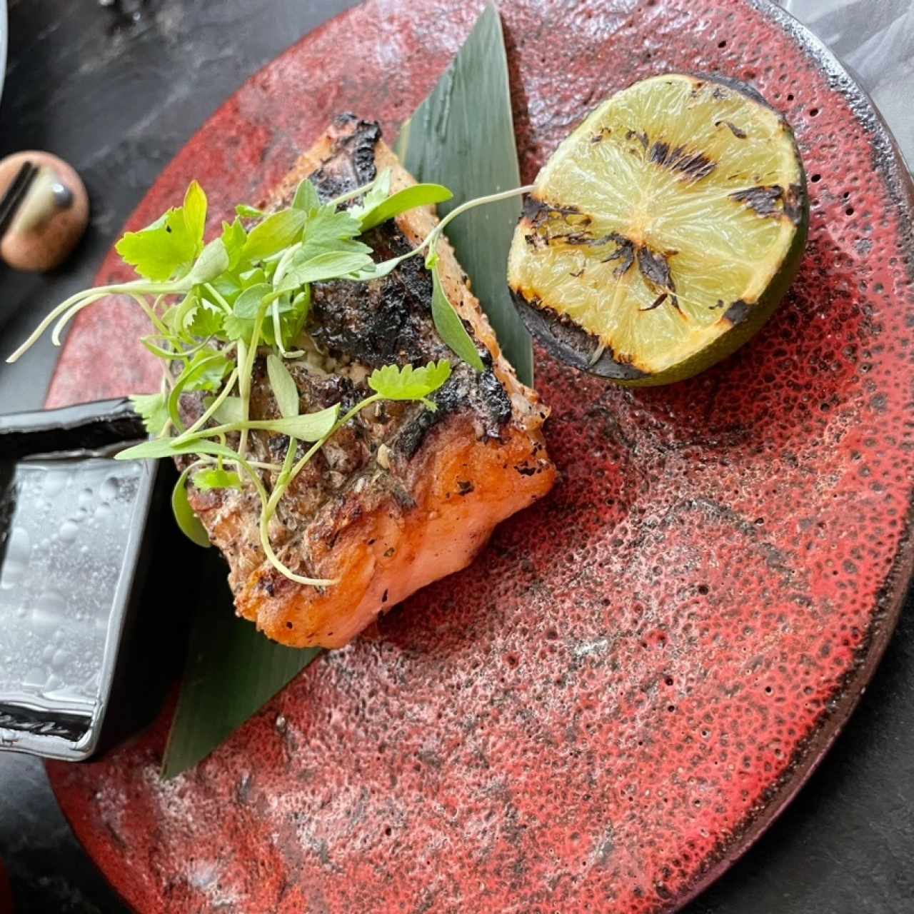 Robata Ocean - Pesca del Día