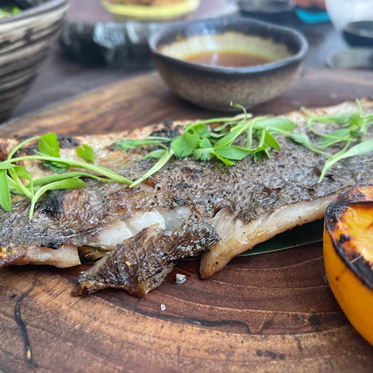 Robata Ocean - Pesca del Día