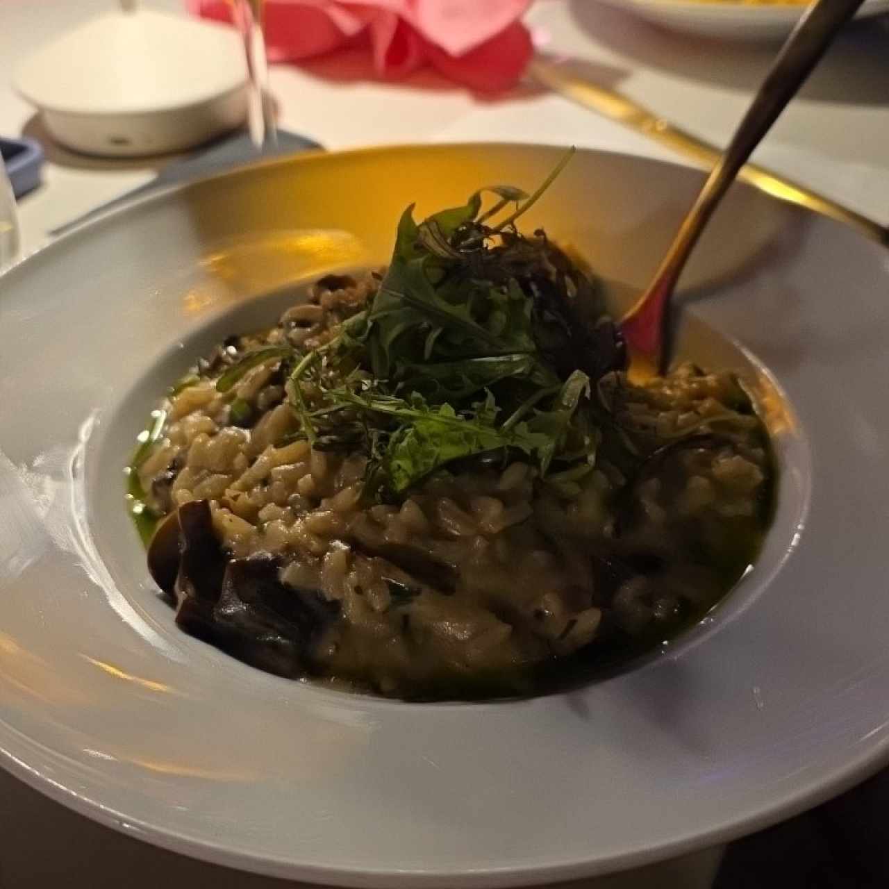 Risottos - PORCINI