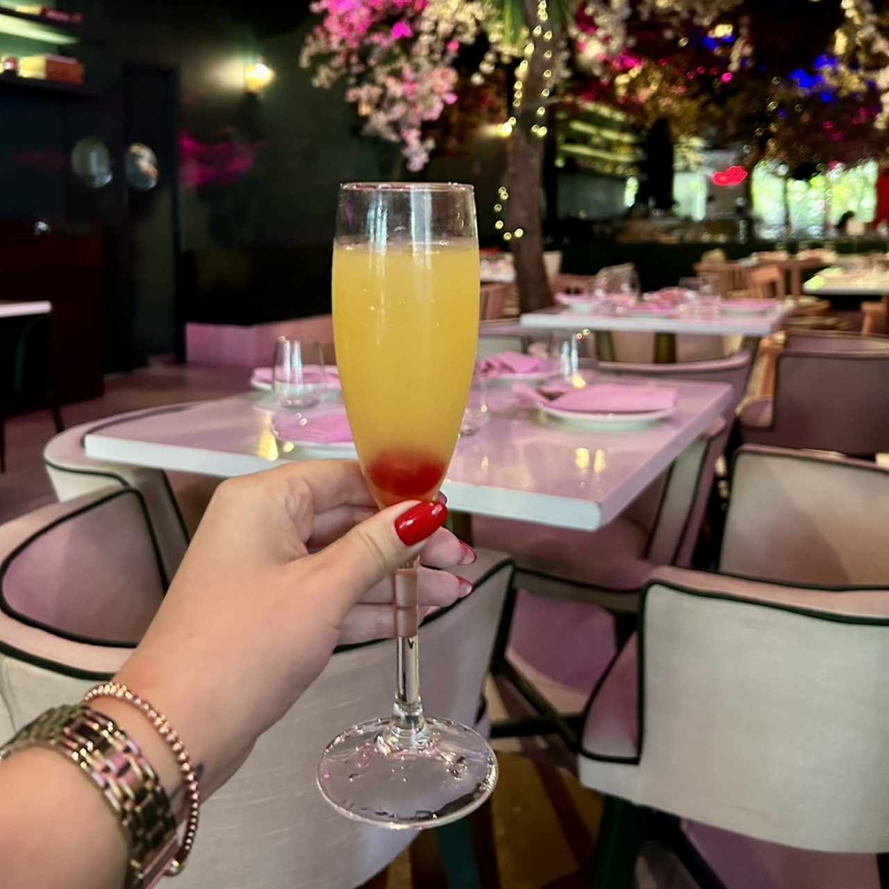 Mimosa