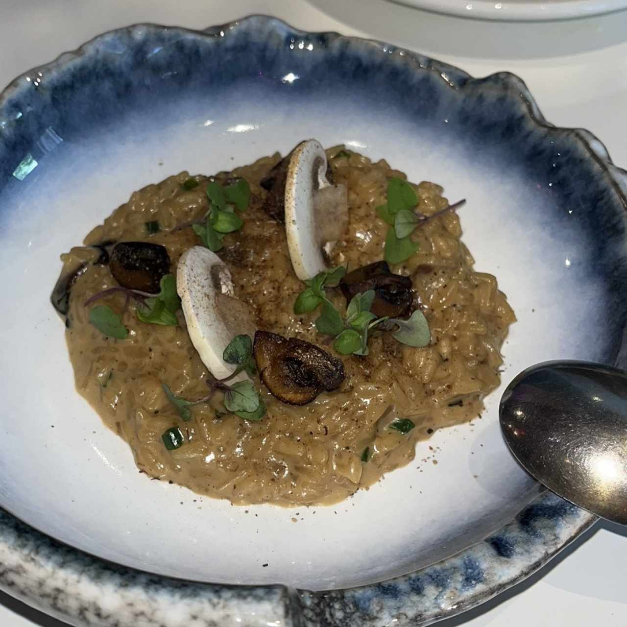 Risottos - PORCINI
