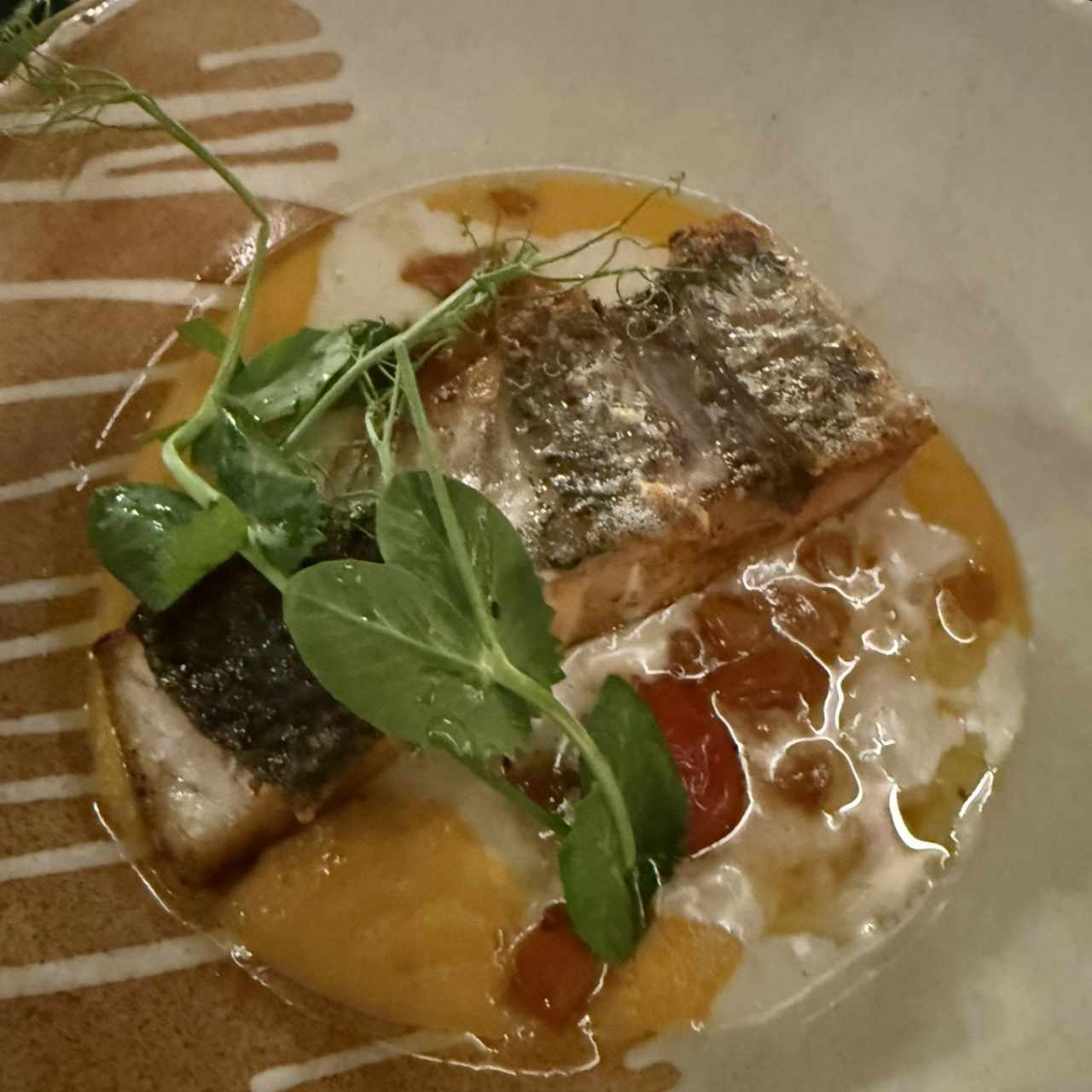 Pesca del Giorno