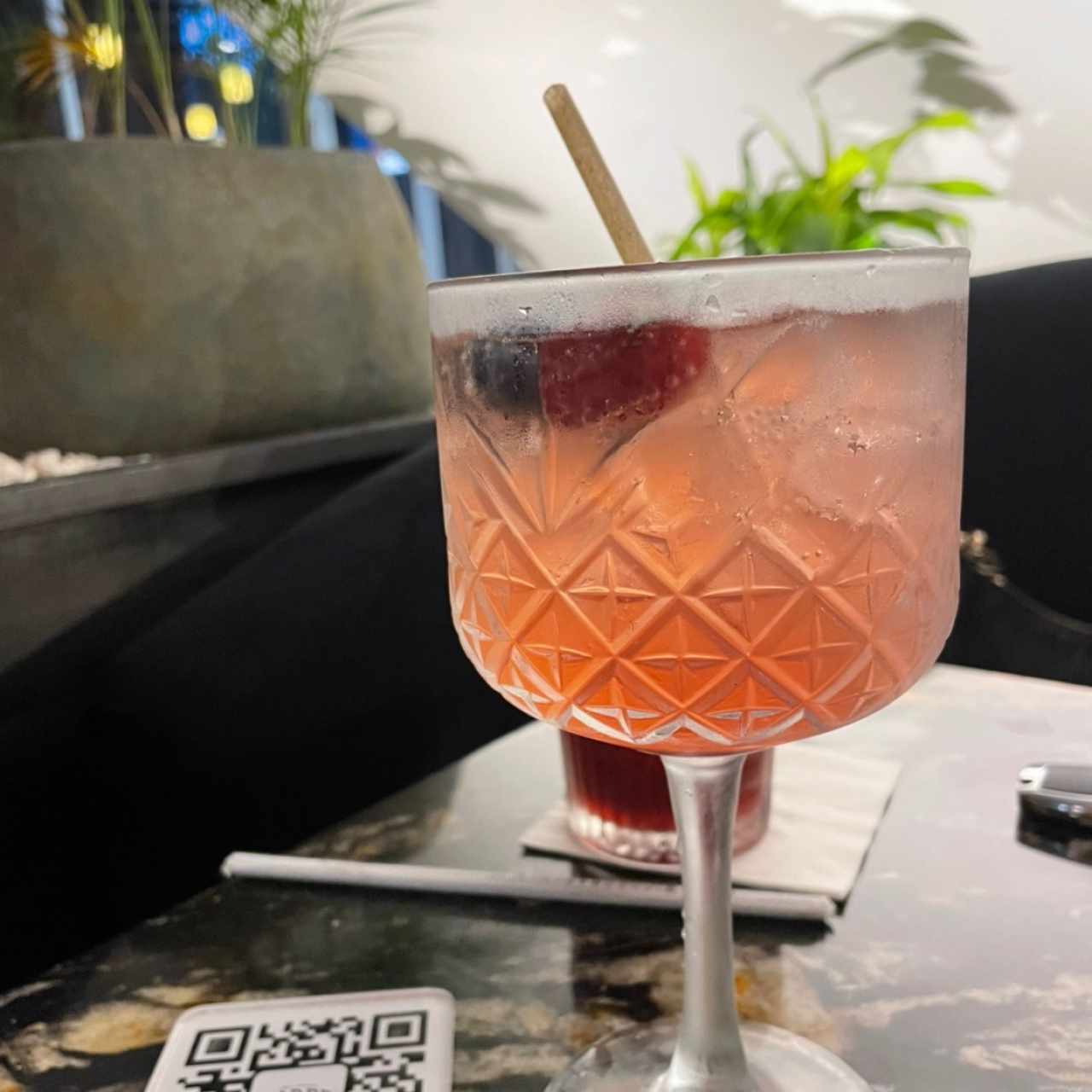 Gin frutos del bosque