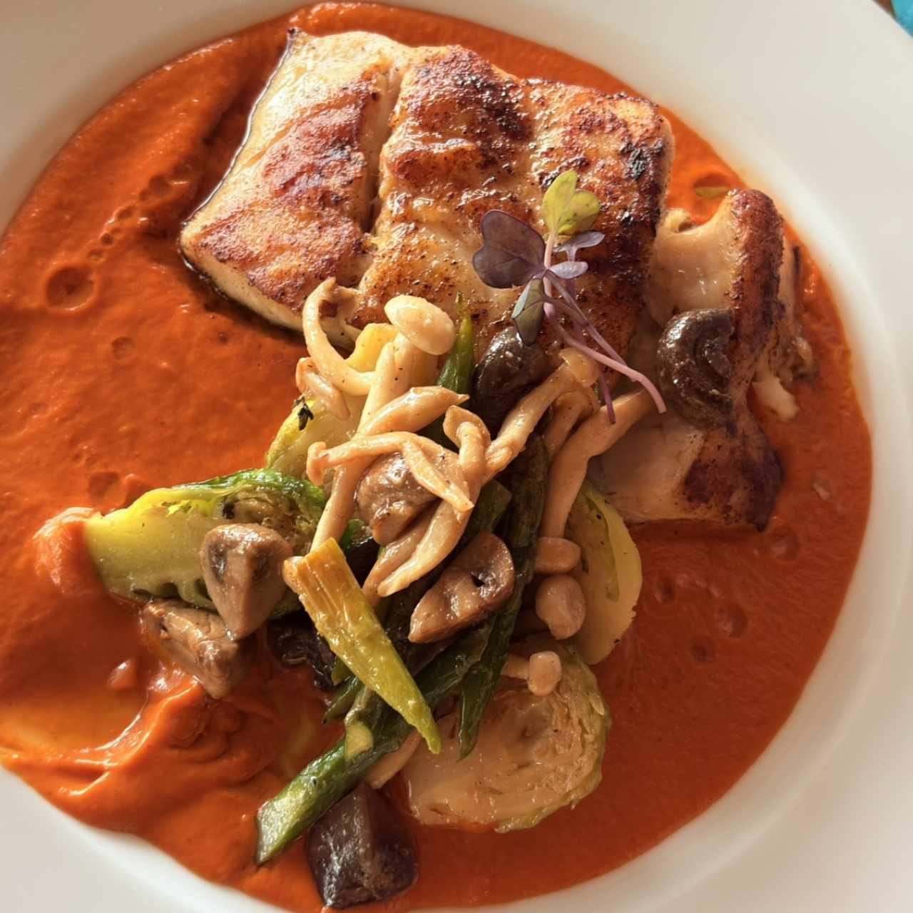 Corvina en réduction de champignon Truffée