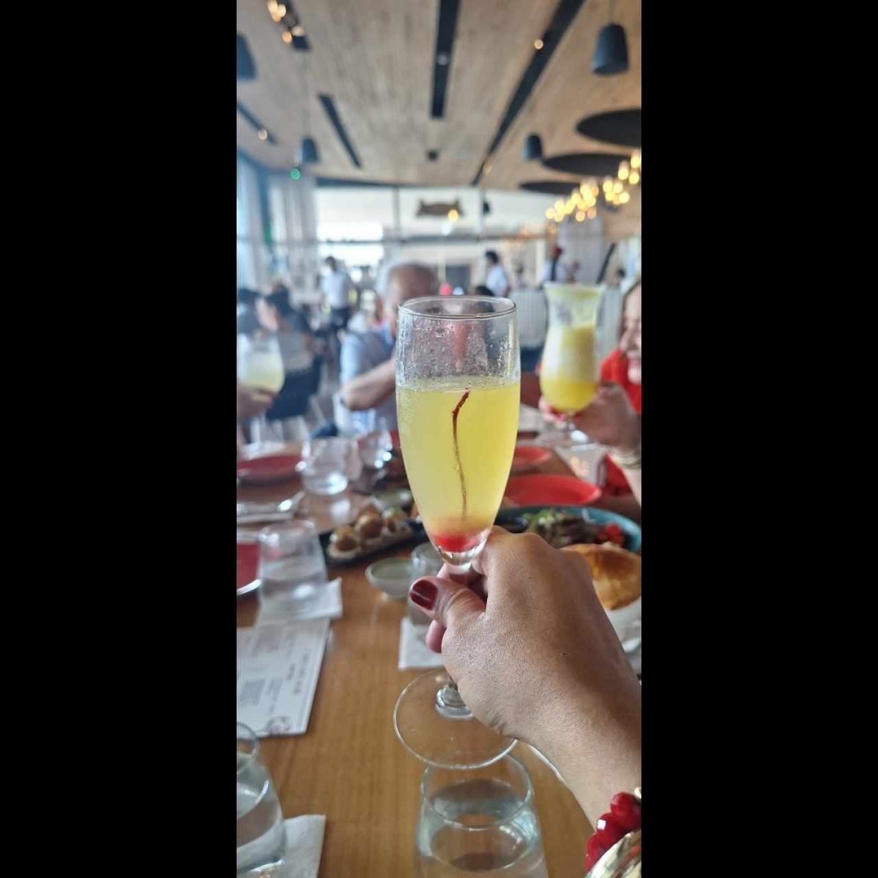 mimosa