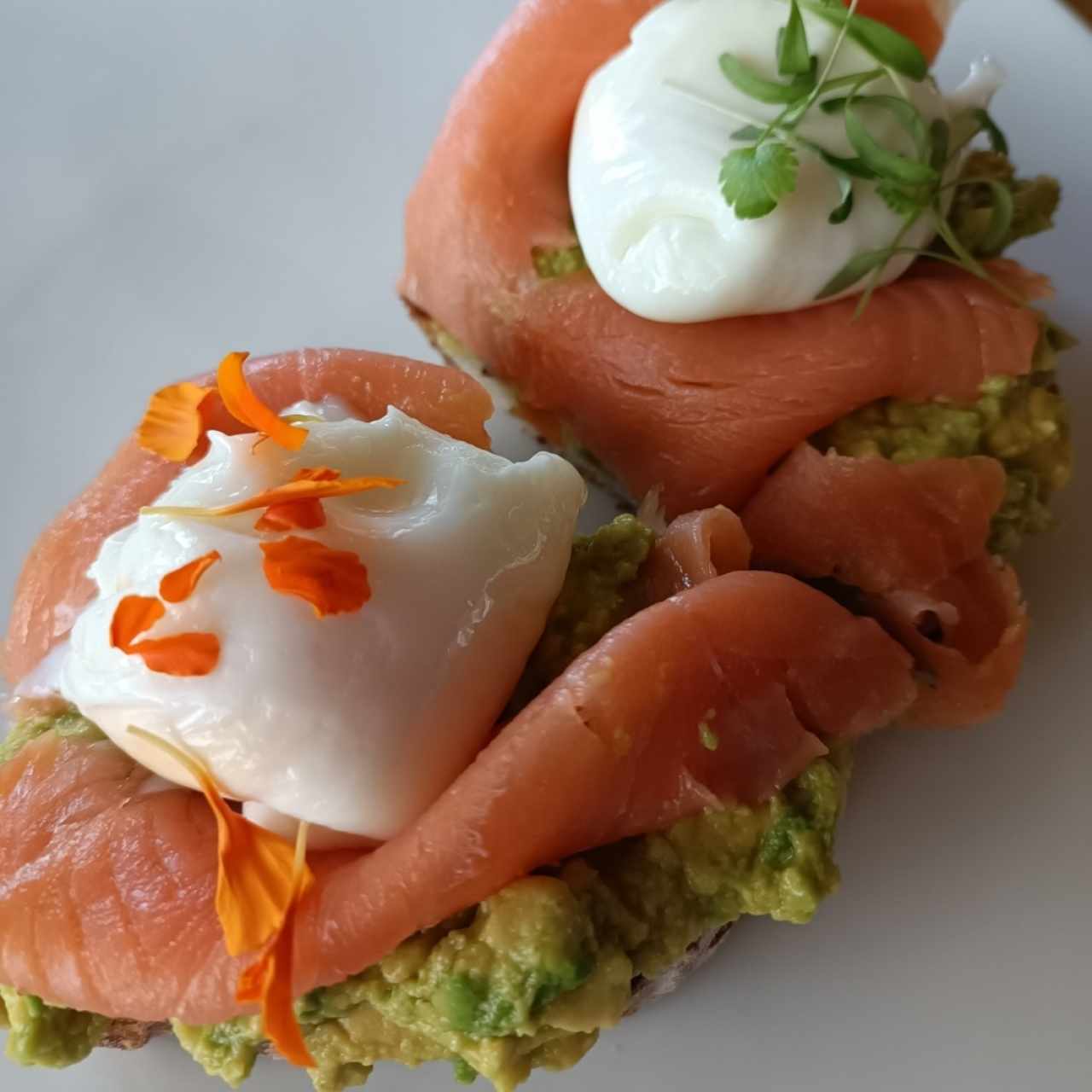 tostadas de salmón 