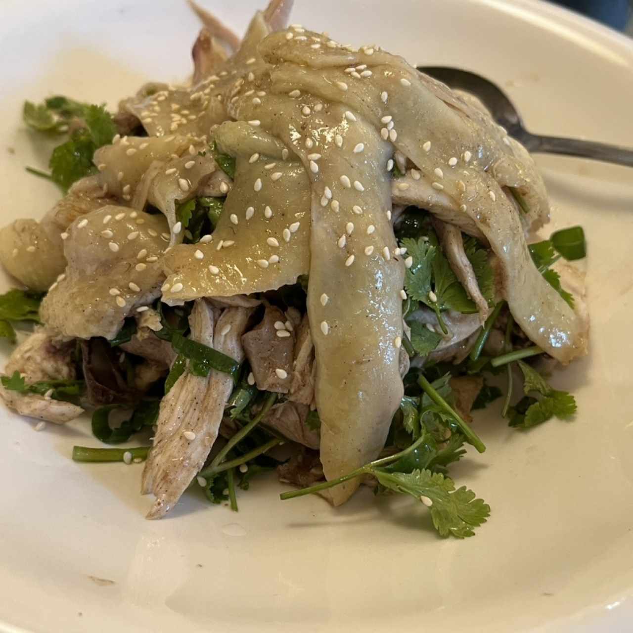 Pollo