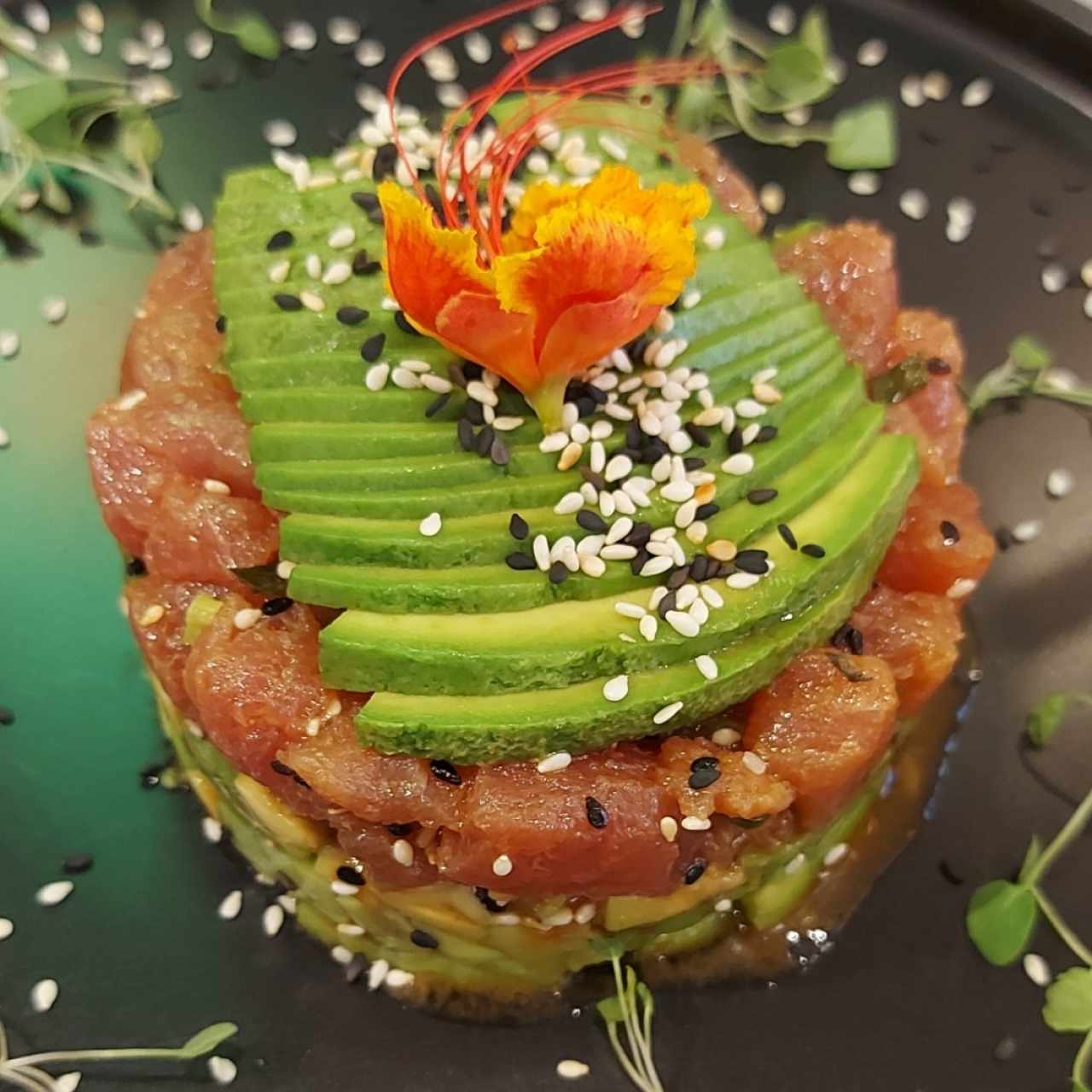 Para Empezar - Avo Tartar