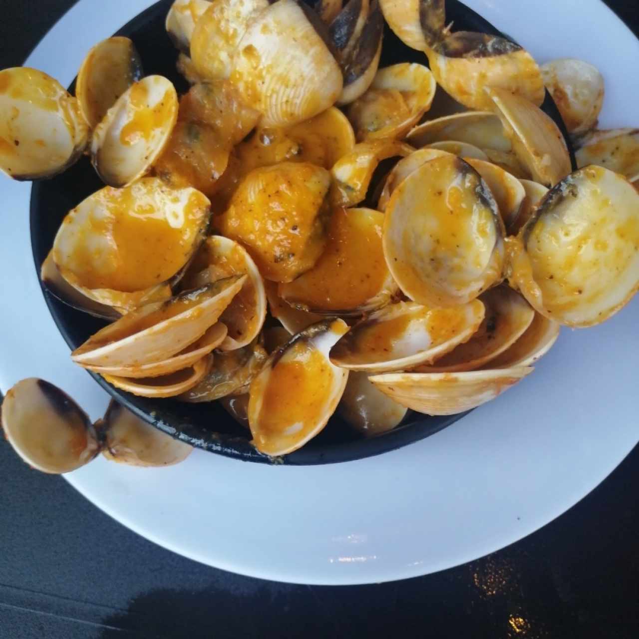 Almejas caribeñas 