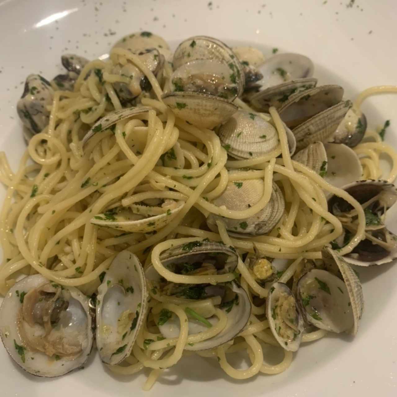 Pastas - Vongole