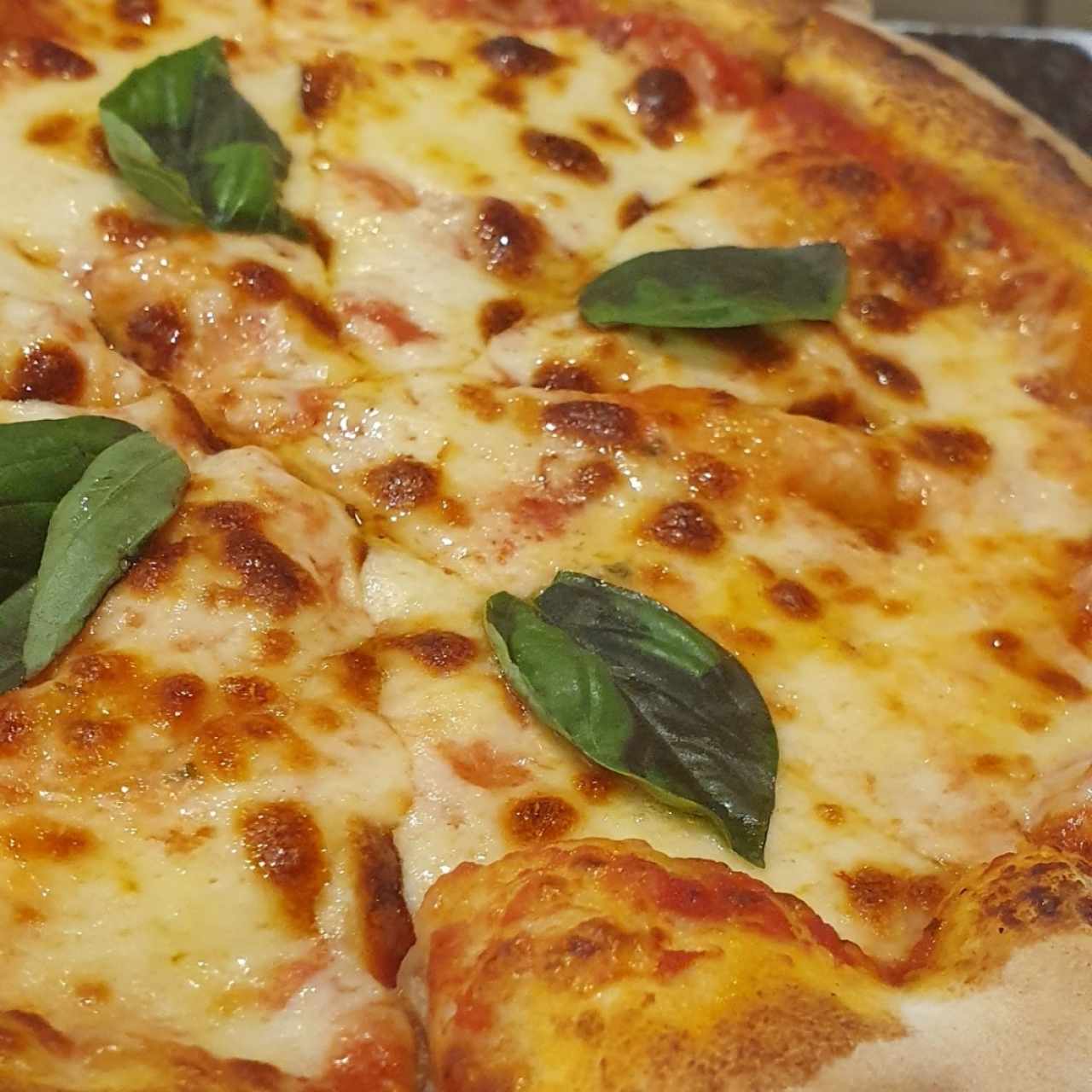 Pizzas - Regina Margherita