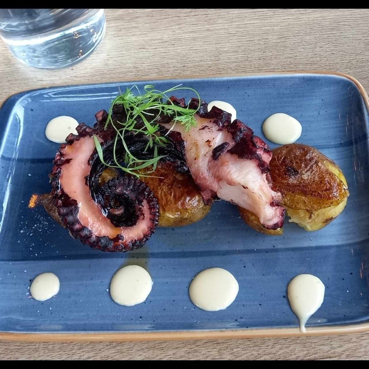 ENTRADAS - PULPO ESPAÑOLITO