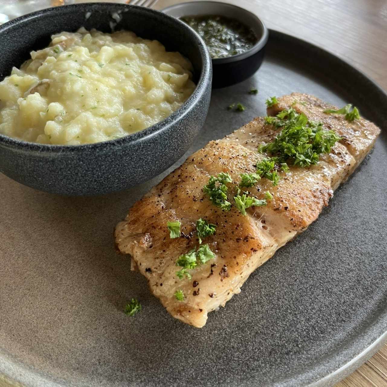 PESCA DEL DÍA