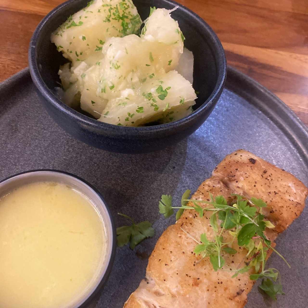 PESCA DEL DÍA