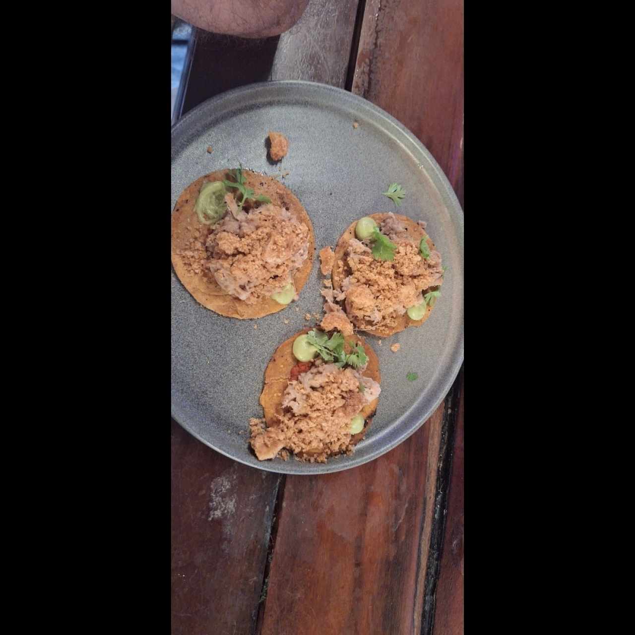 TAQUITOS DE CARNITA (3U)