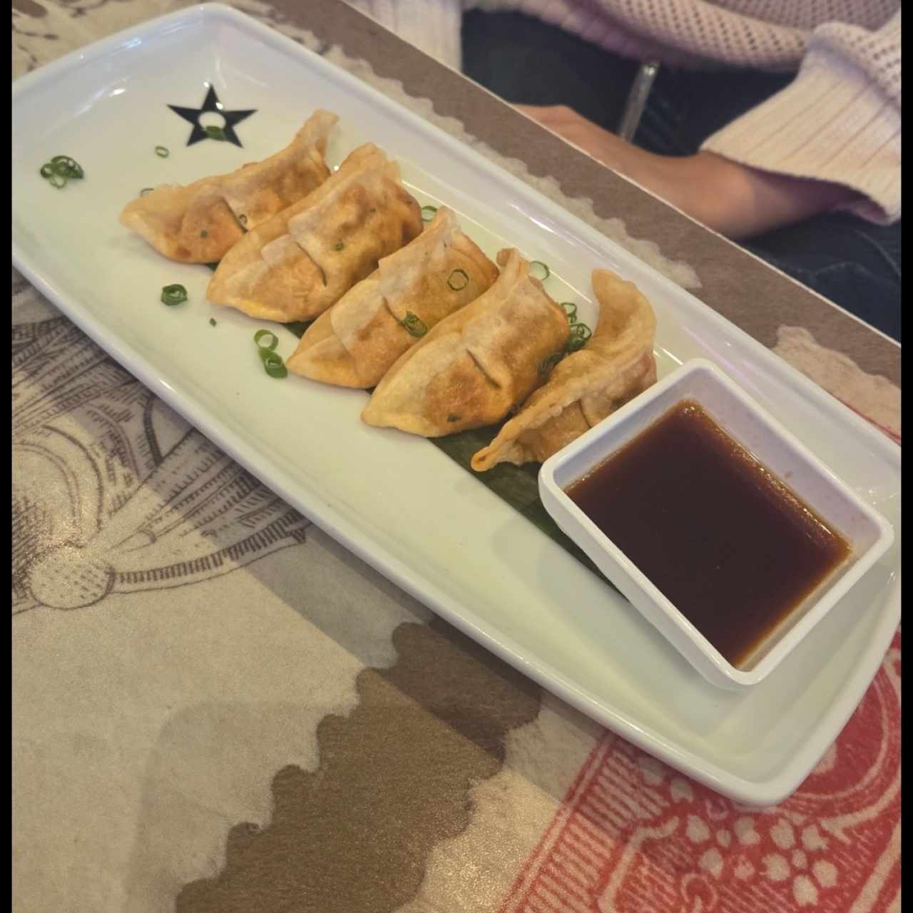 Gyozas de Cerdo (5 unidades)