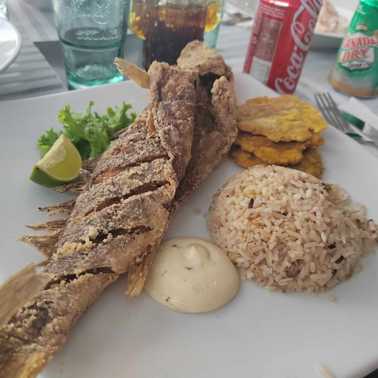 Corvina frita 