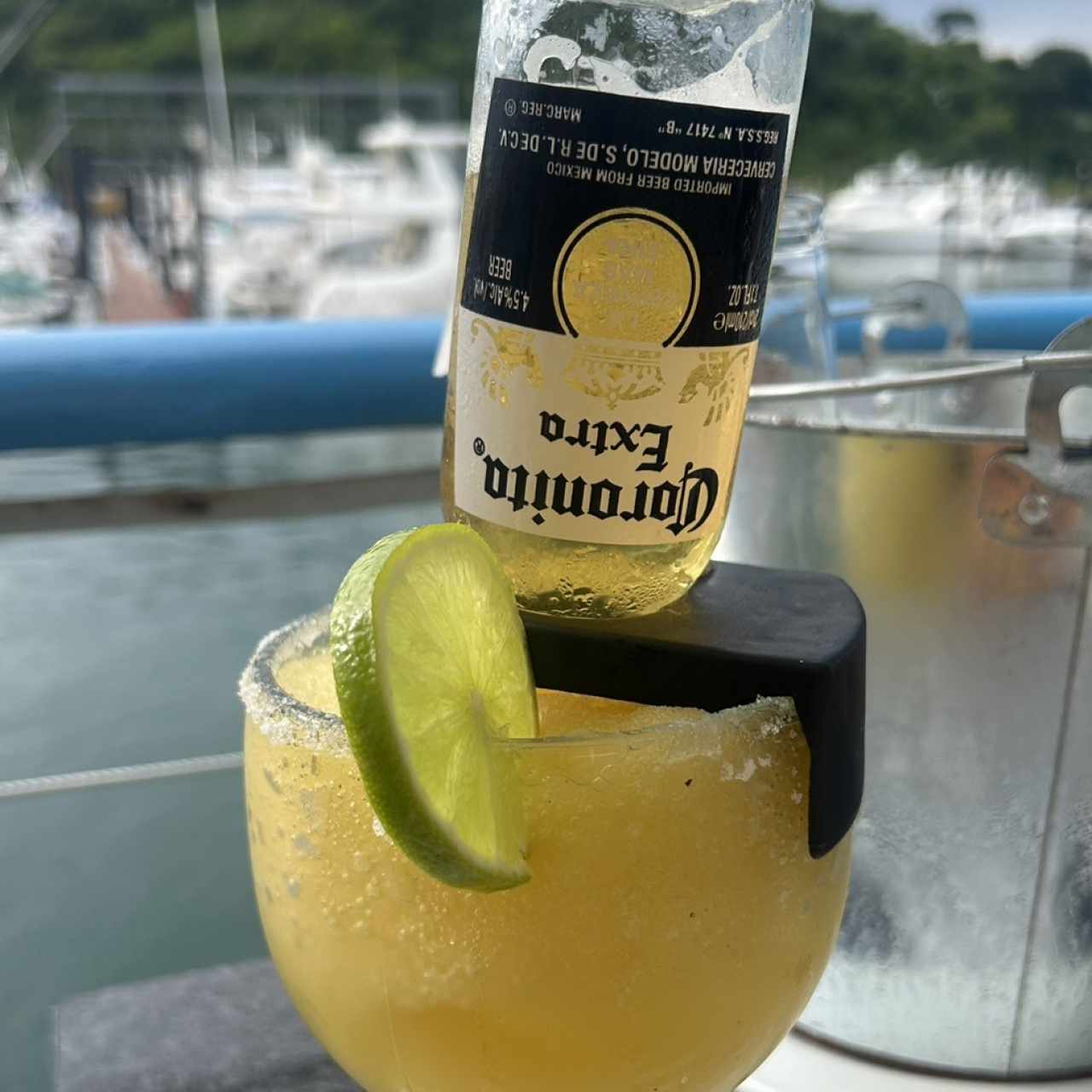 Margarota