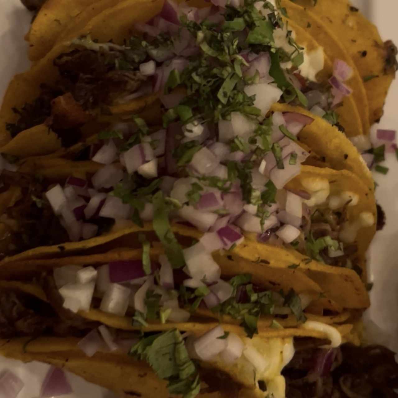 Quesatacos de Birria (Res)