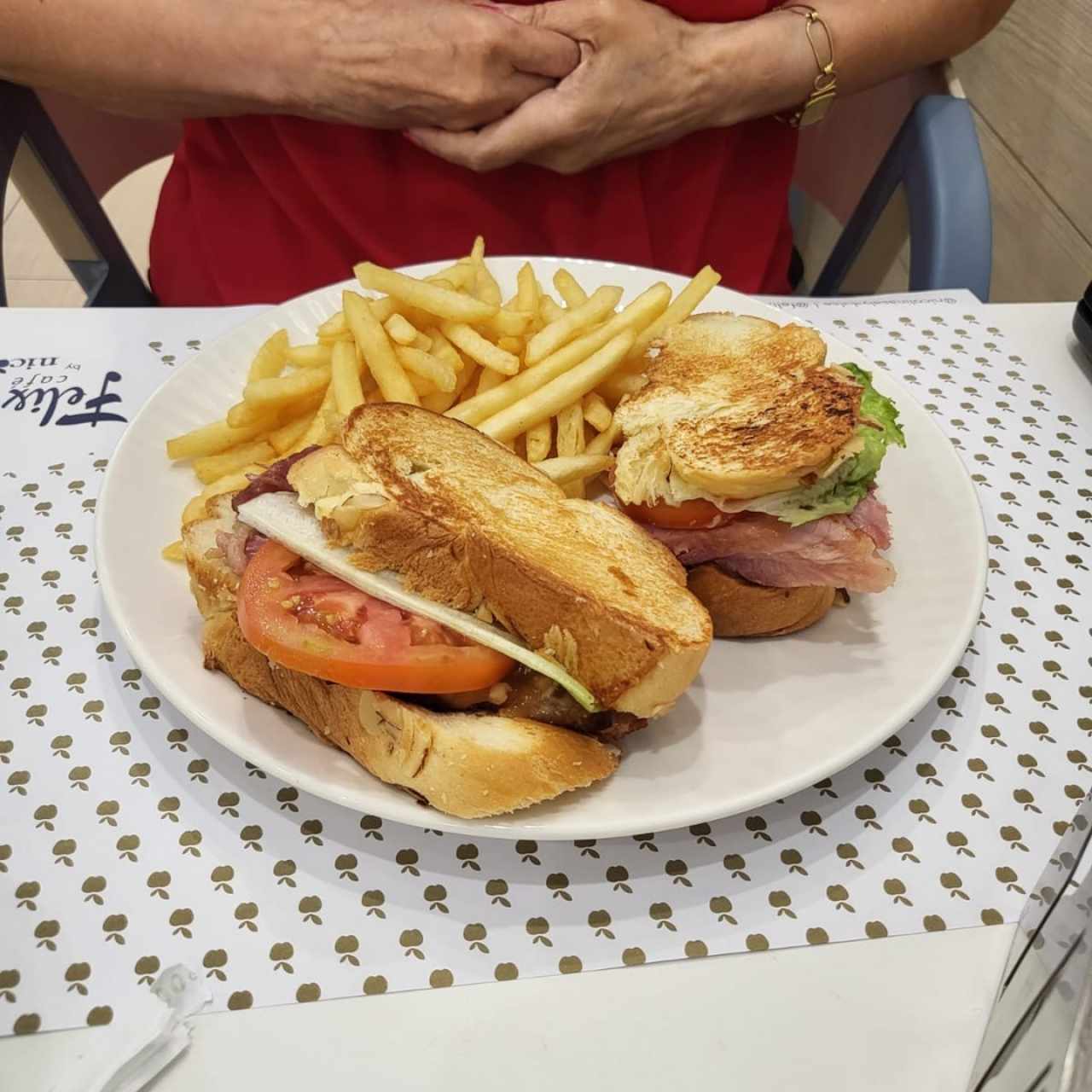 Emparedado de pata con papas fritas 