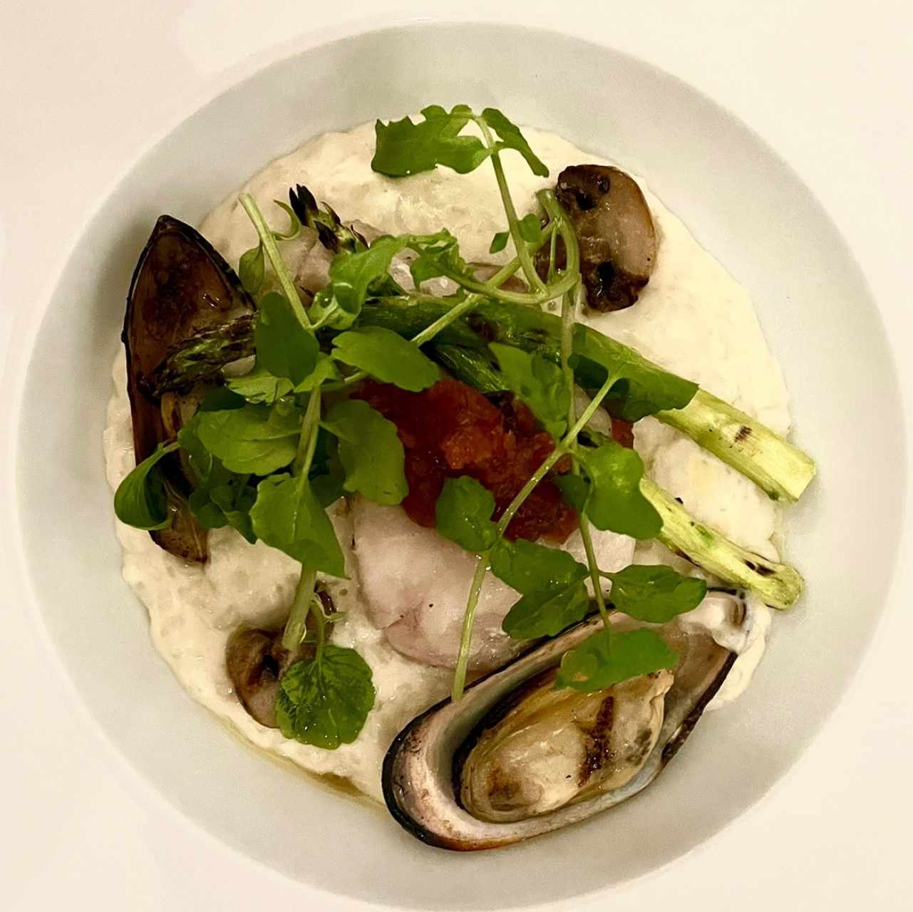 Pesca del día - Corvina