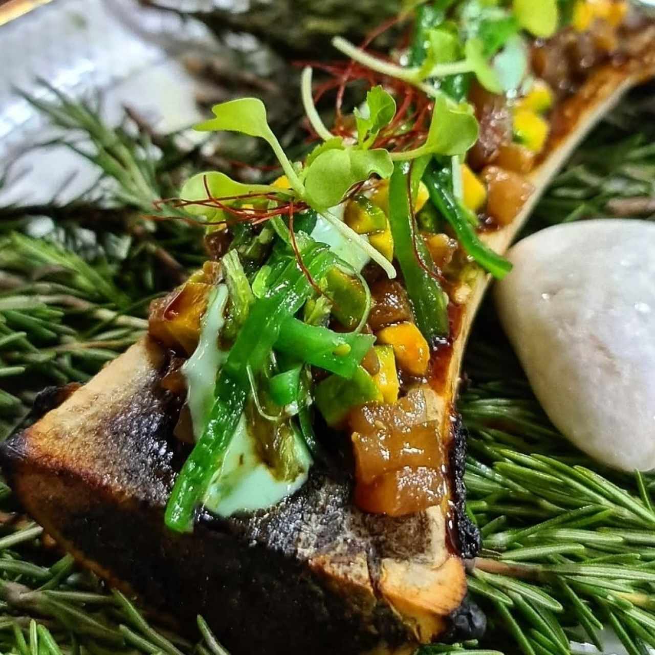 Tuétano a la brasa con tartar de atún rojo