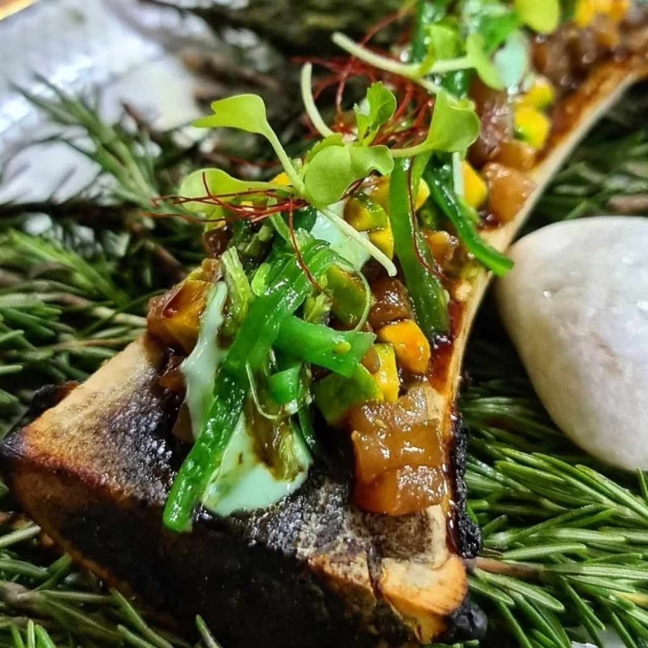 Tuétano a la brasa con tartar de atún rojo