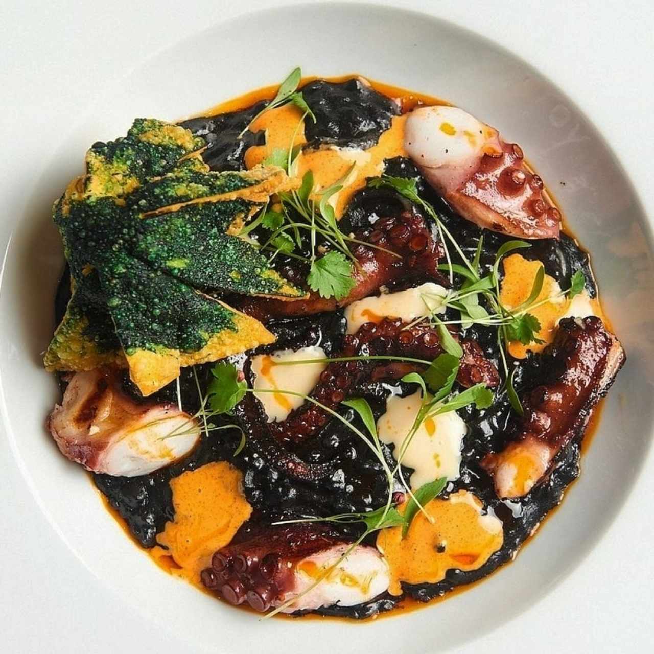 Pulpo a la brasa