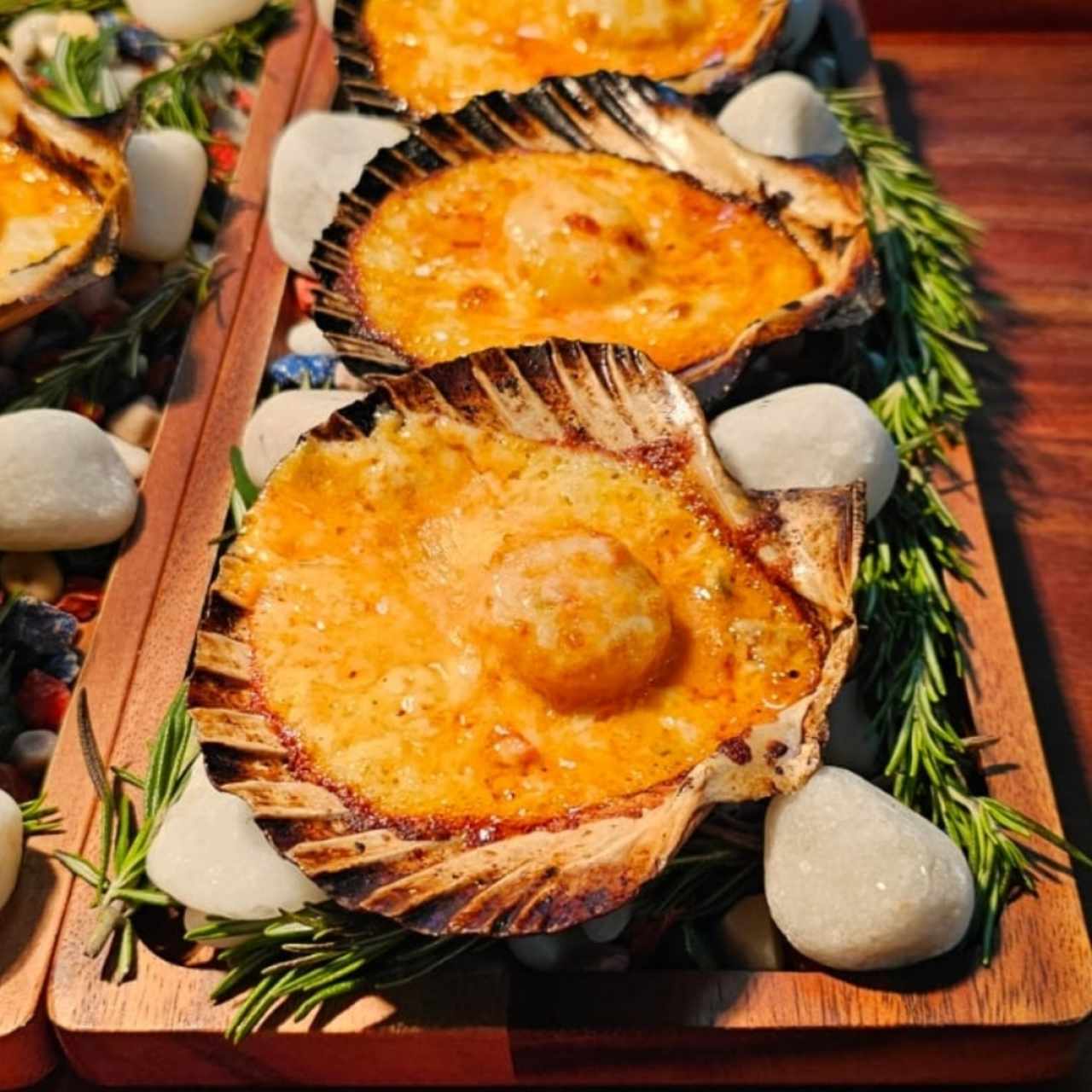 Vieiras a la gallega gratinadas con queso gruyere