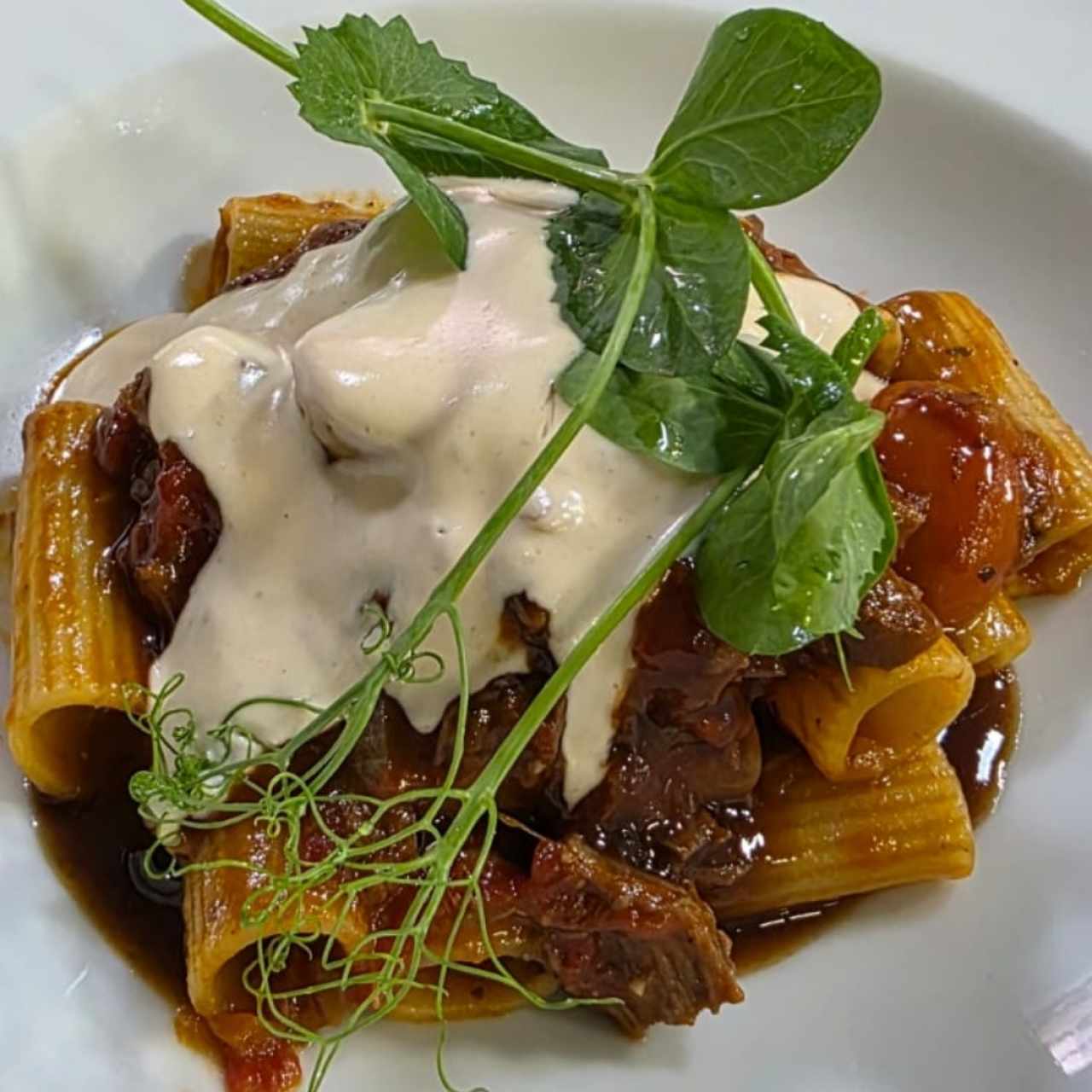 rigatoni con ragu de cordero 