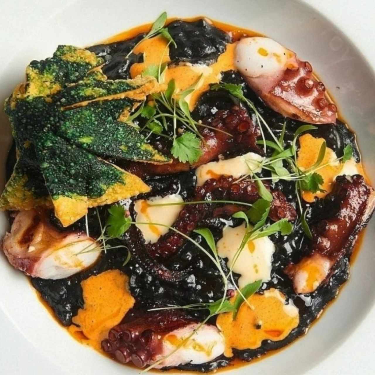 Pulpo a la brasa