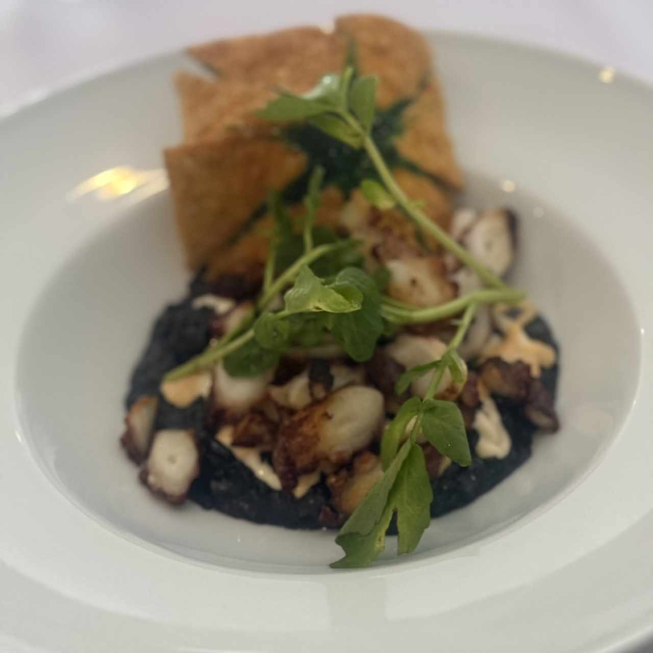 Pulpo a la brasa