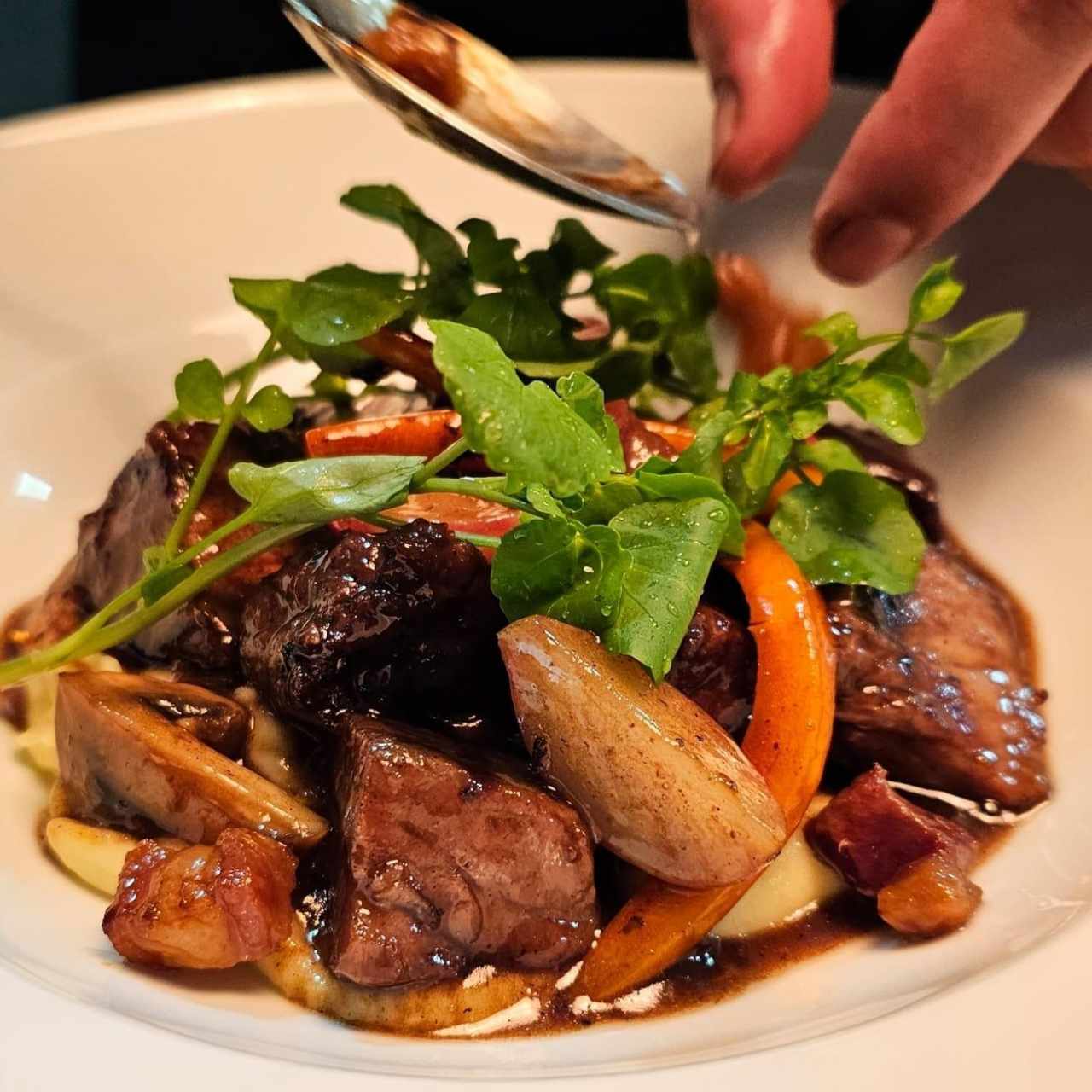 Boeuf bourguignon