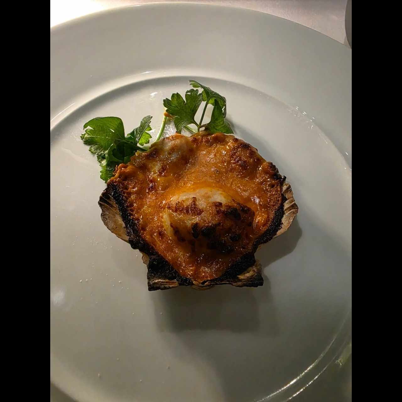 Vieiras a la gallega gratinadas con queso gruyere