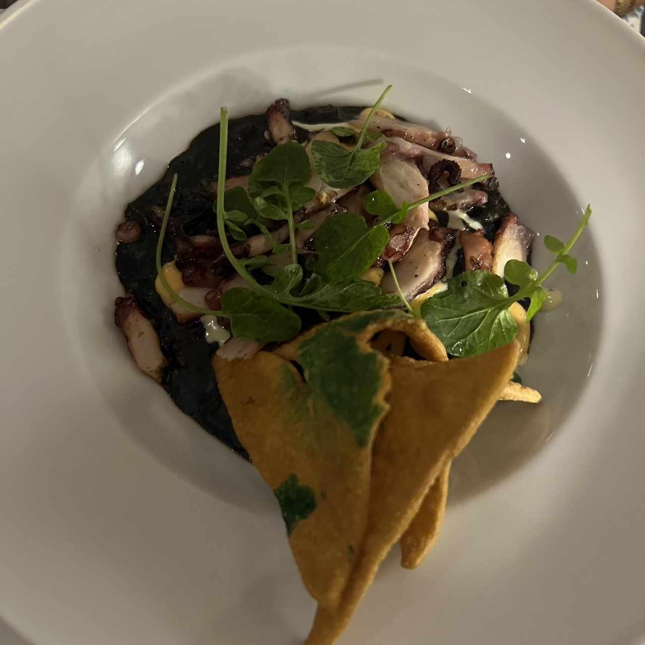 Pulpo del mediterráneo al grill