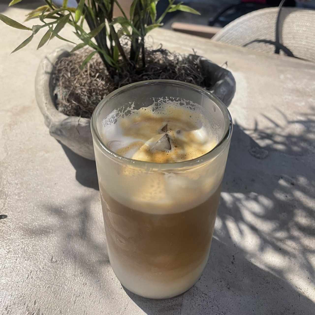 Ice Latte