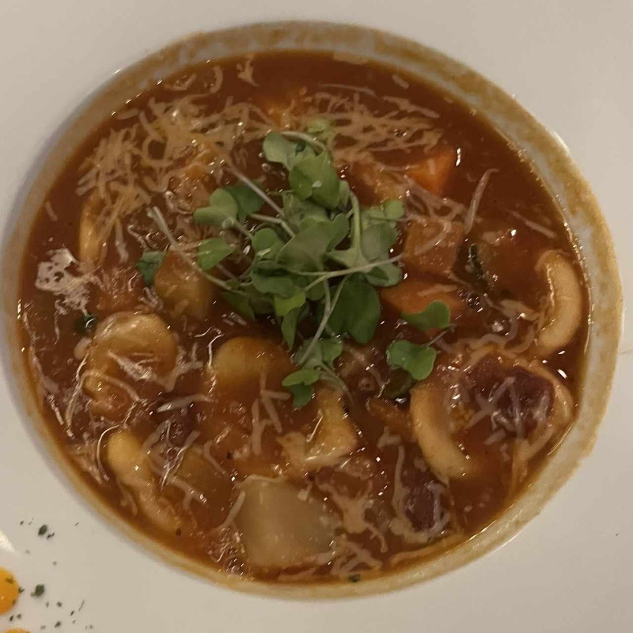 Sopa Minestrone