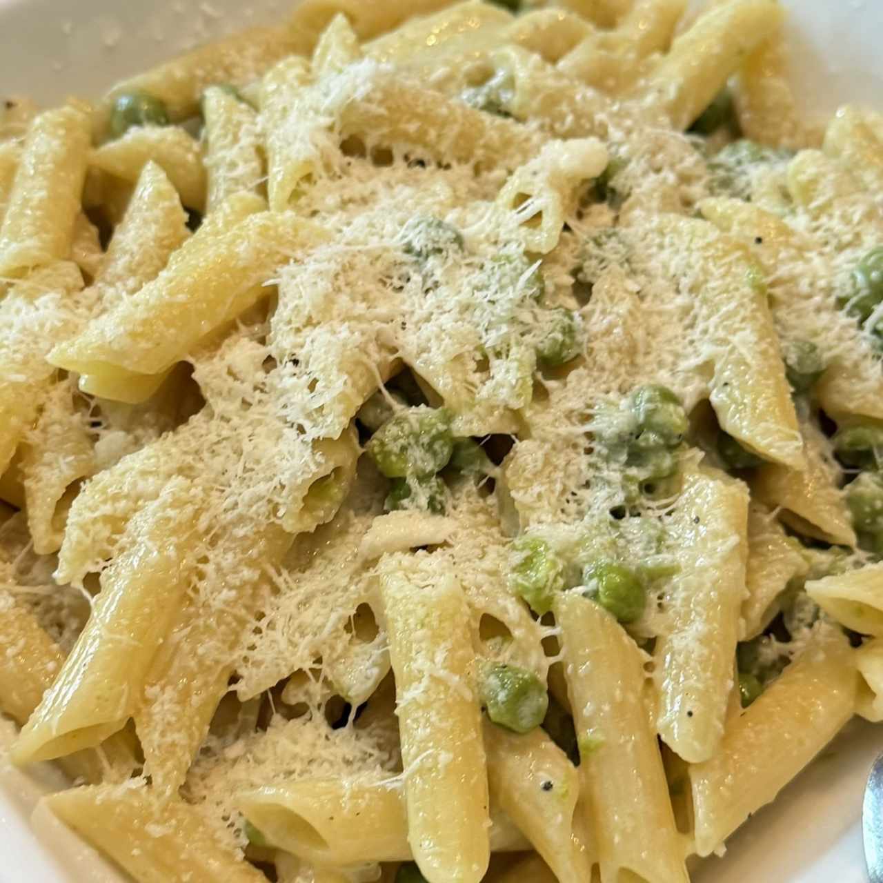 Pastas - Carbonara di Mare