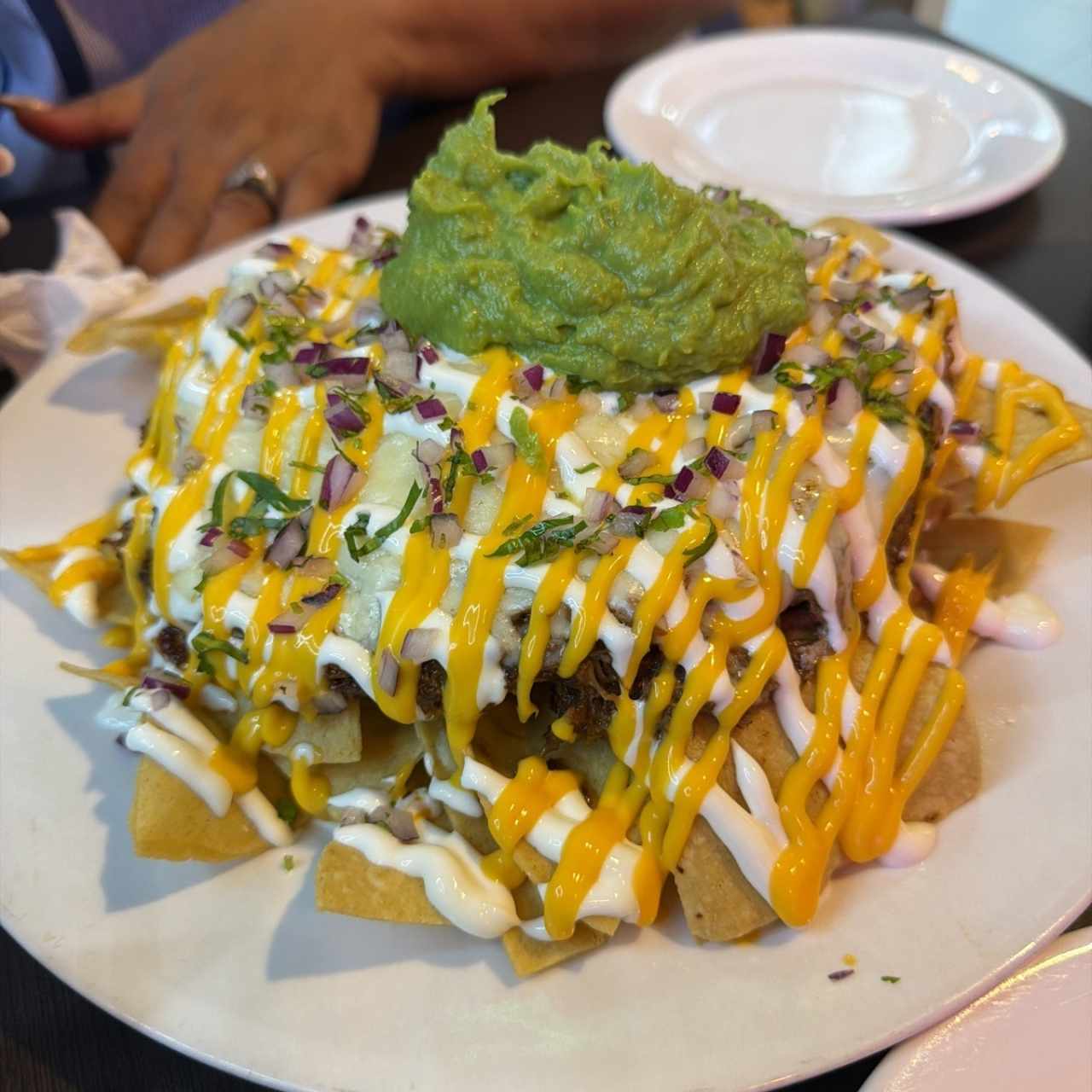 Nachos de birrias 