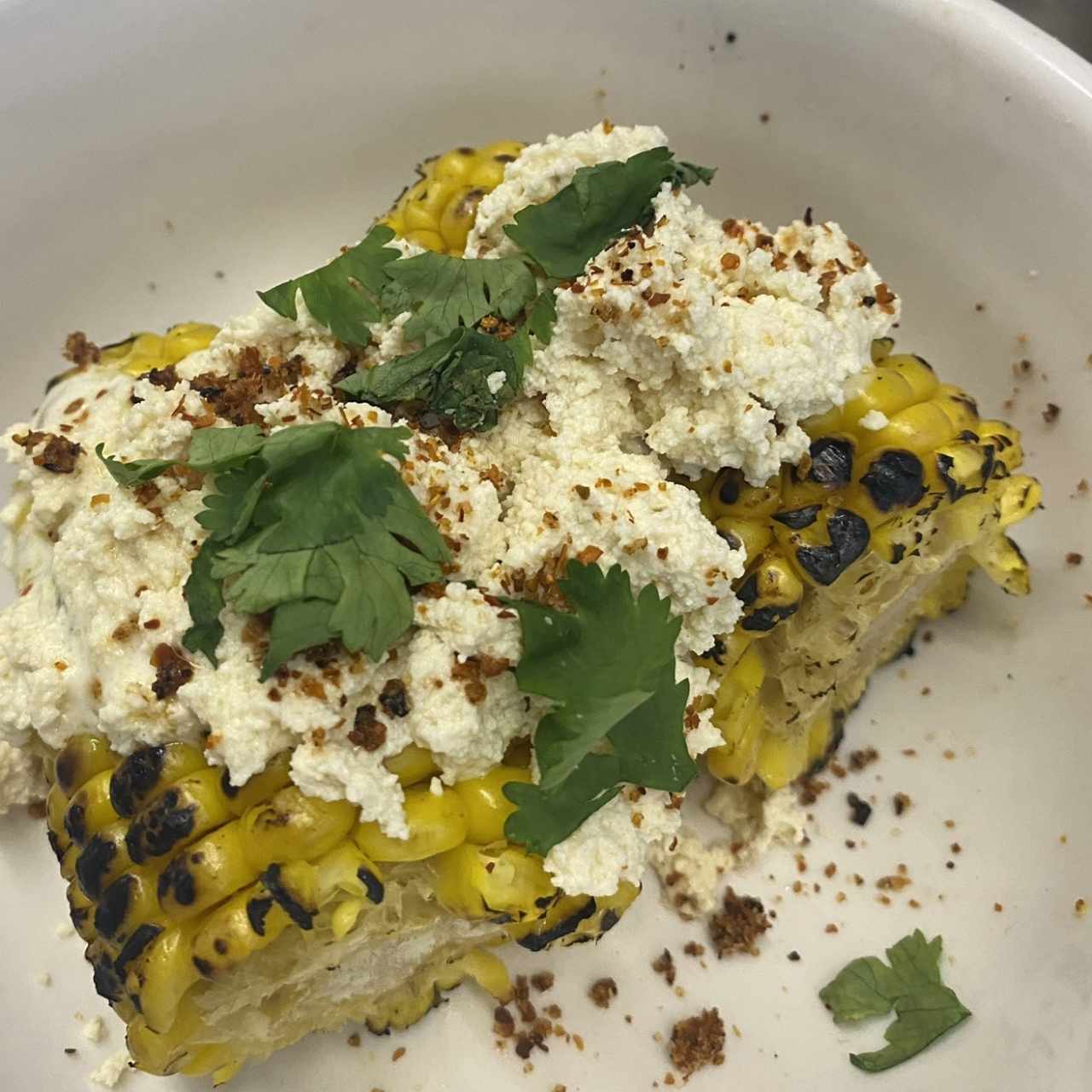 Mexican Corn on the Cobb (Chico)