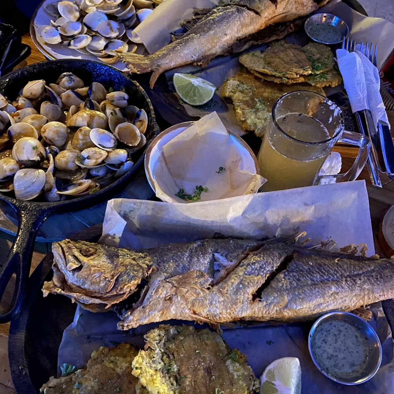 Corvina 