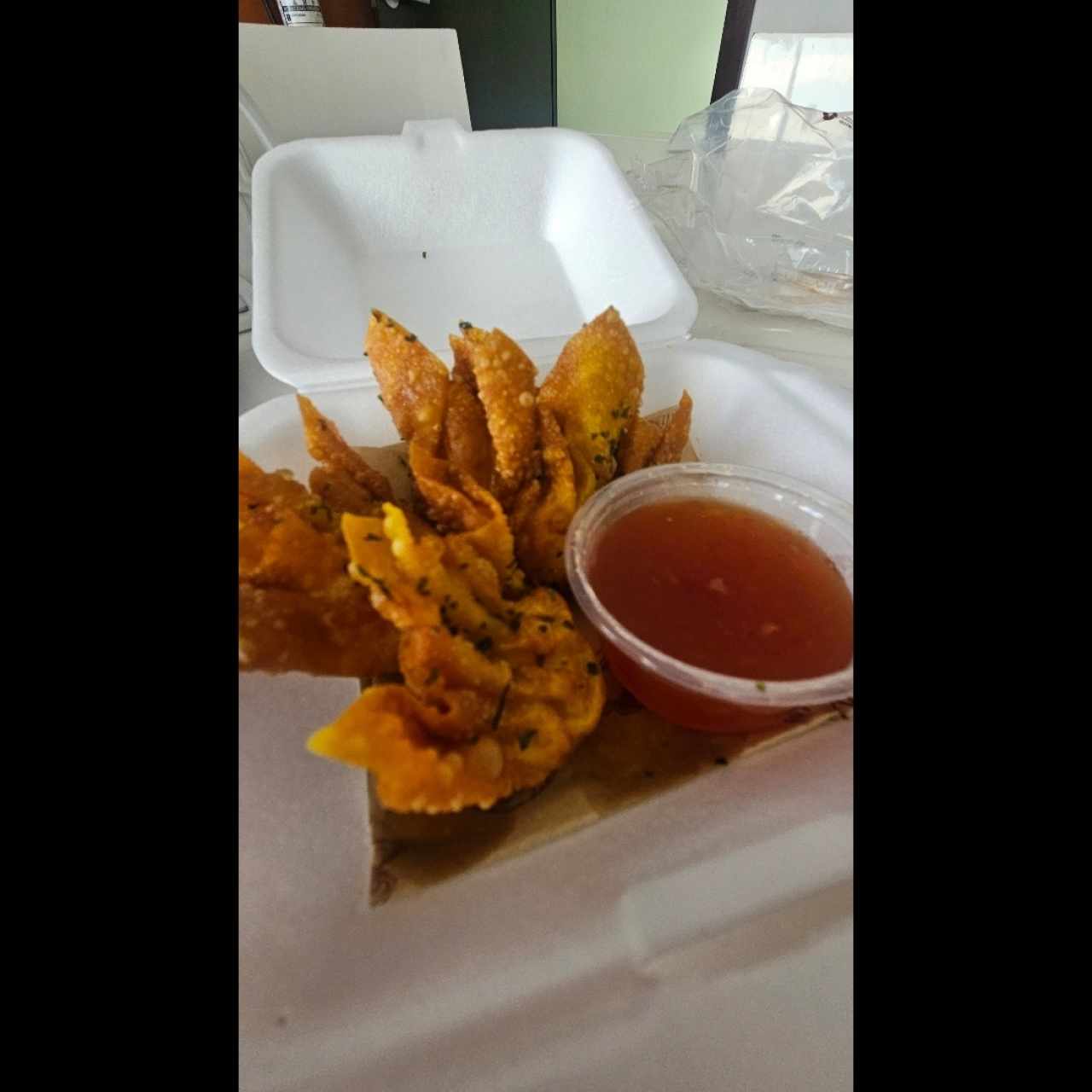 Aperitivo - Wantón Fritos