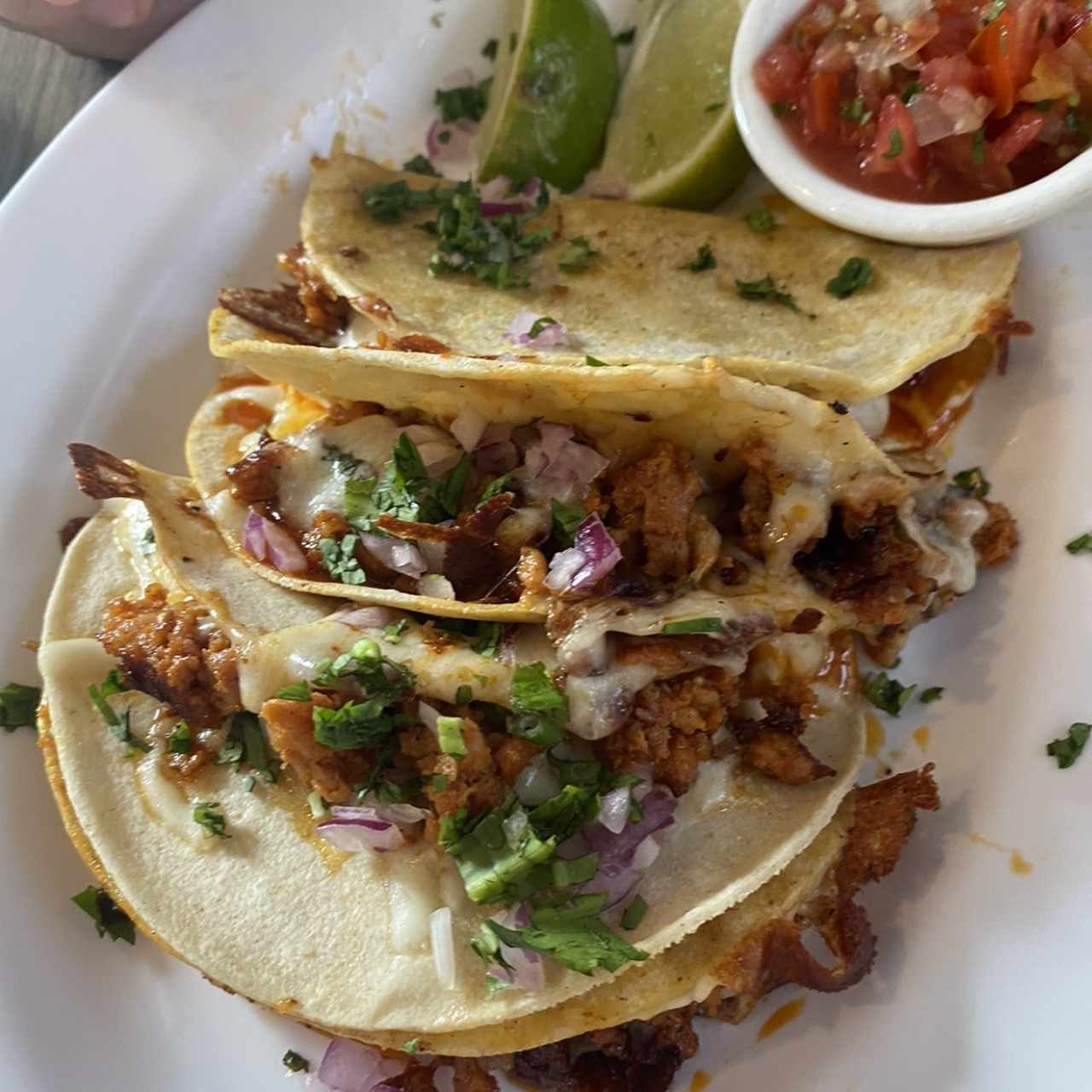 Quesadillas especiales con chorizo