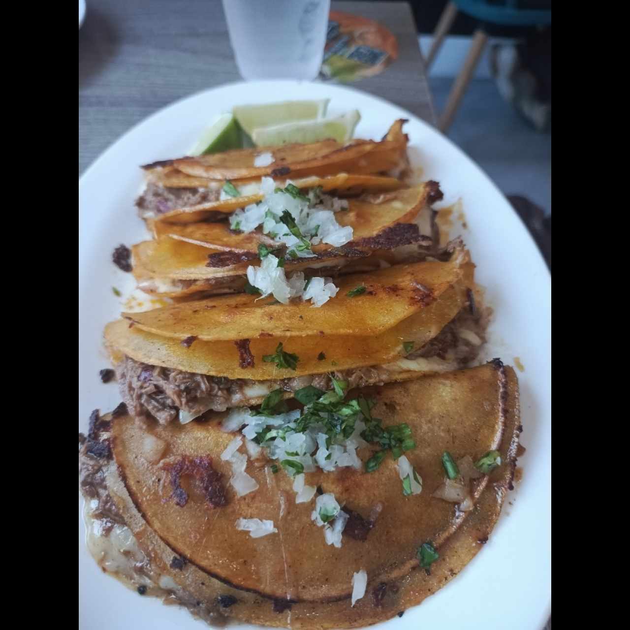 Birria - 4 Quesatacos